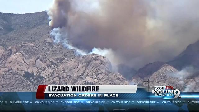 Lizard fire size increases to over 10,000 acres