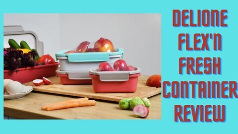Everything You Need to Know About DeliOne Flex'n Fresh Container Reusable & Food Grade