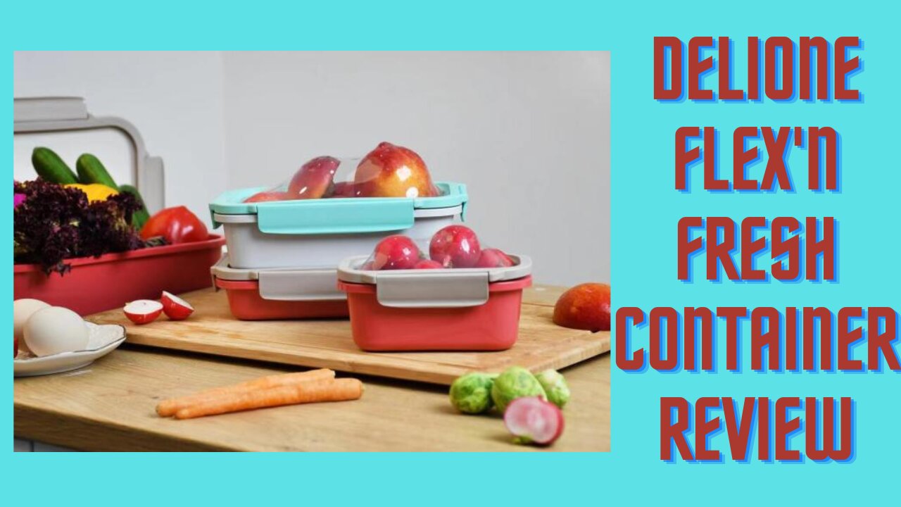 Everything You Need to Know About DeliOne Flex'n Fresh Container Reusable & Food Grade