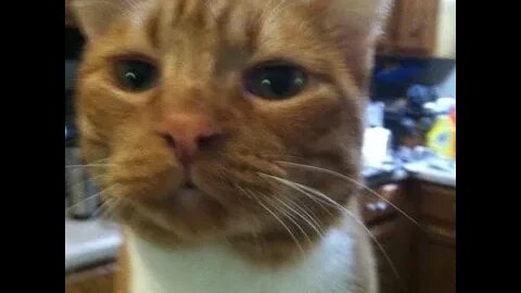 Spike's Trailer Park Live # 168