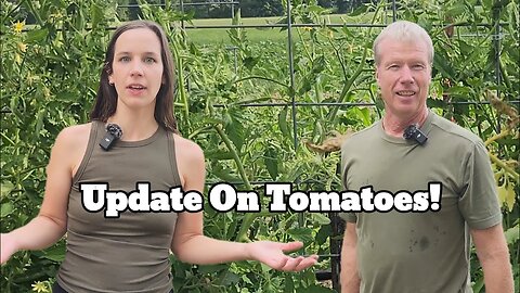 IMPORTANT UPDATE on Tomato Plants!