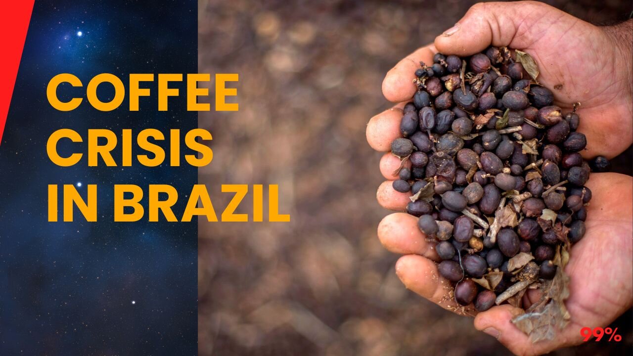 Brazil's Drought Ravages Coffee Farms, Prices Set to Skyrocket