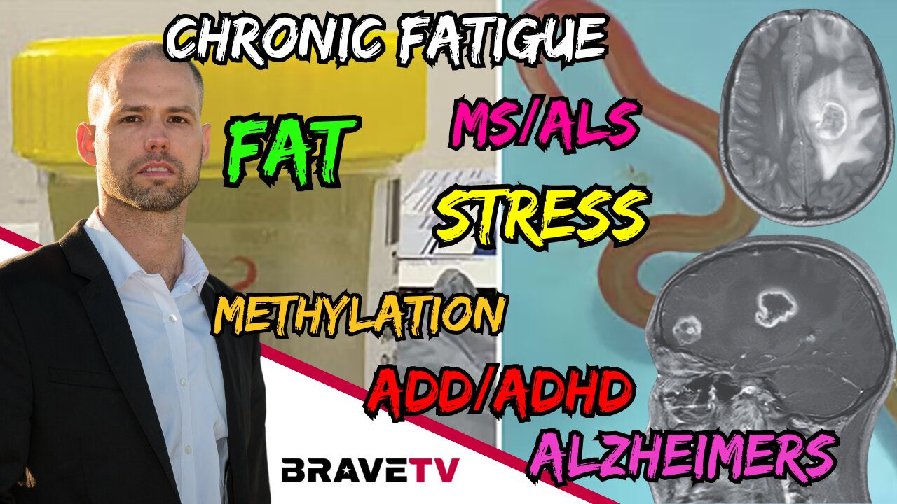 Brave TV - Nov 29, 2023 - Parasites that CAUSE the Problems In Our Body - Cancer, Methylation, Mental Health & More!