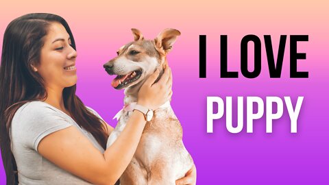 Puppy Love: The Heartwarming Story of How One Dog Changed My Life