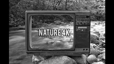 Nature in 4k