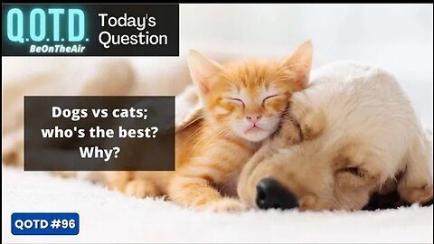 Question of the Day | Dogs vs. Cats!