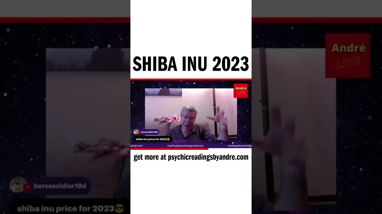 Shiba Inu 2023