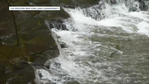 Western New York Land Conservancy opens its newest public nature preserve at Mossy Point