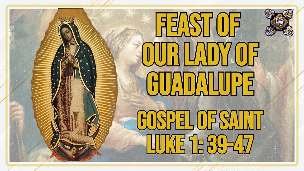 Comments on the Gospel of the Feast of Our Lady of Guadalupe Lk 1: 39-47