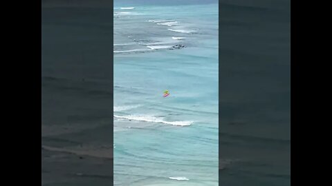 C-SHELL WAIKĪKĪ