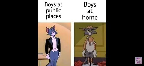 Funny memes