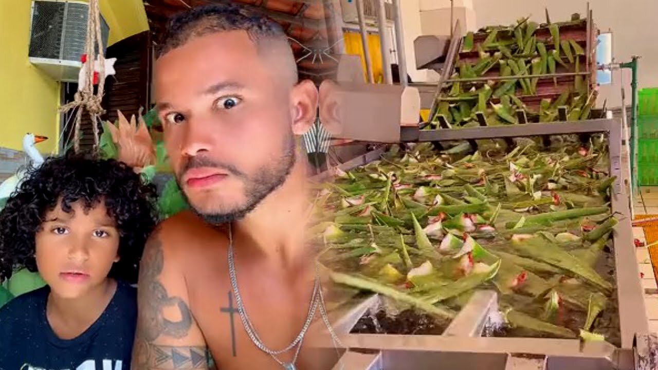 REACT - CAIO TEM HEMORRÓIDA? GELÉIA DE BABOSA!
