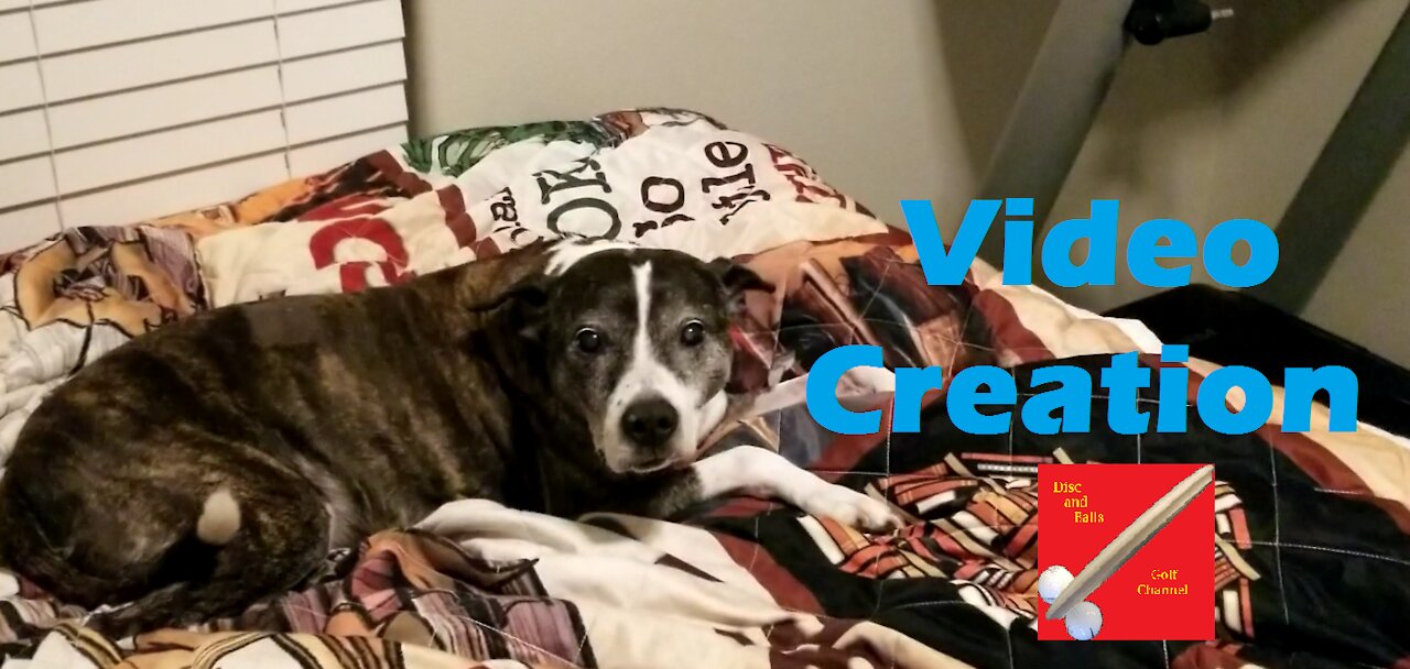 Video Creation - Vlogmas Day 11