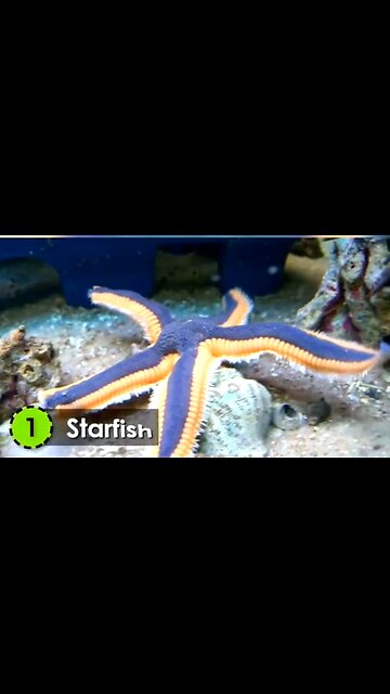 HOW TO APPLY GOD'S PRINCIPLES - DAILY DEVOTIONAL ❤️