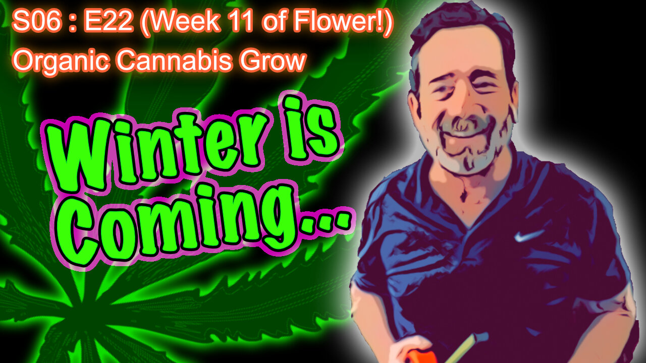 S06 E22 Day 148 of Flower || How to Water and Grow Cannabis for Beginners ||