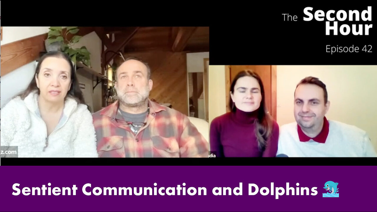 Sentient Communication and Dolphins 🐬