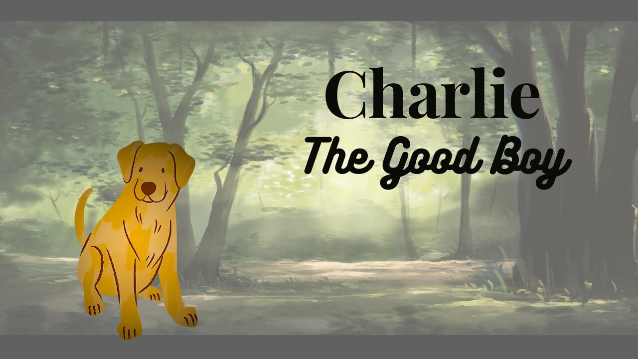 Charlie | The Good Boy | #kids #short #story #video