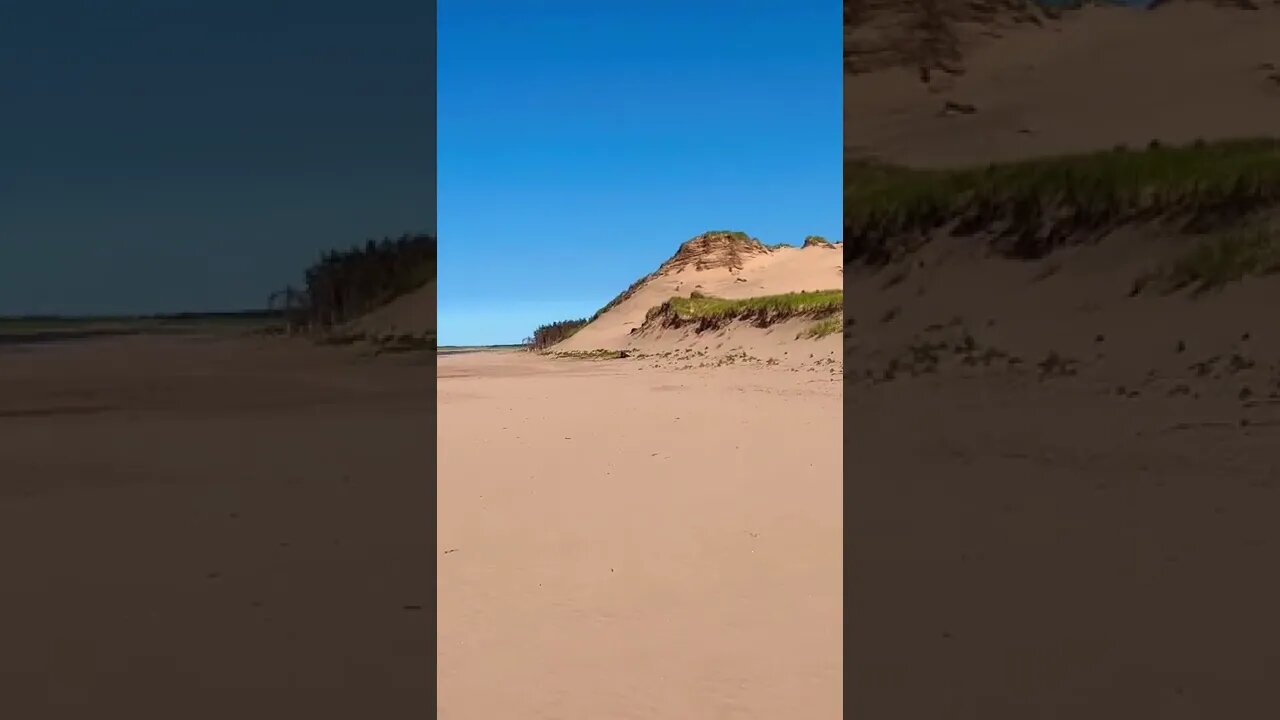 The beach all to ourselves