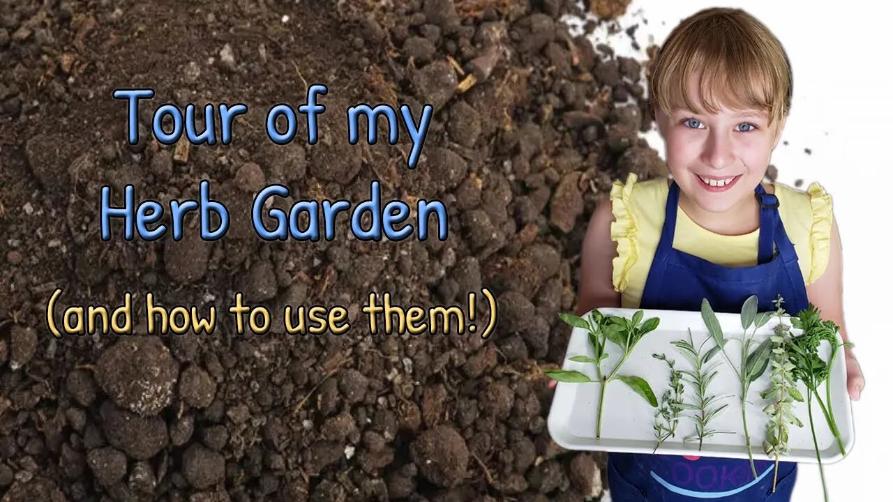 Tour of my Herb Garden: and how to use them!