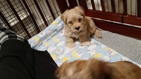 k Litter - Yesterday & Today(5)