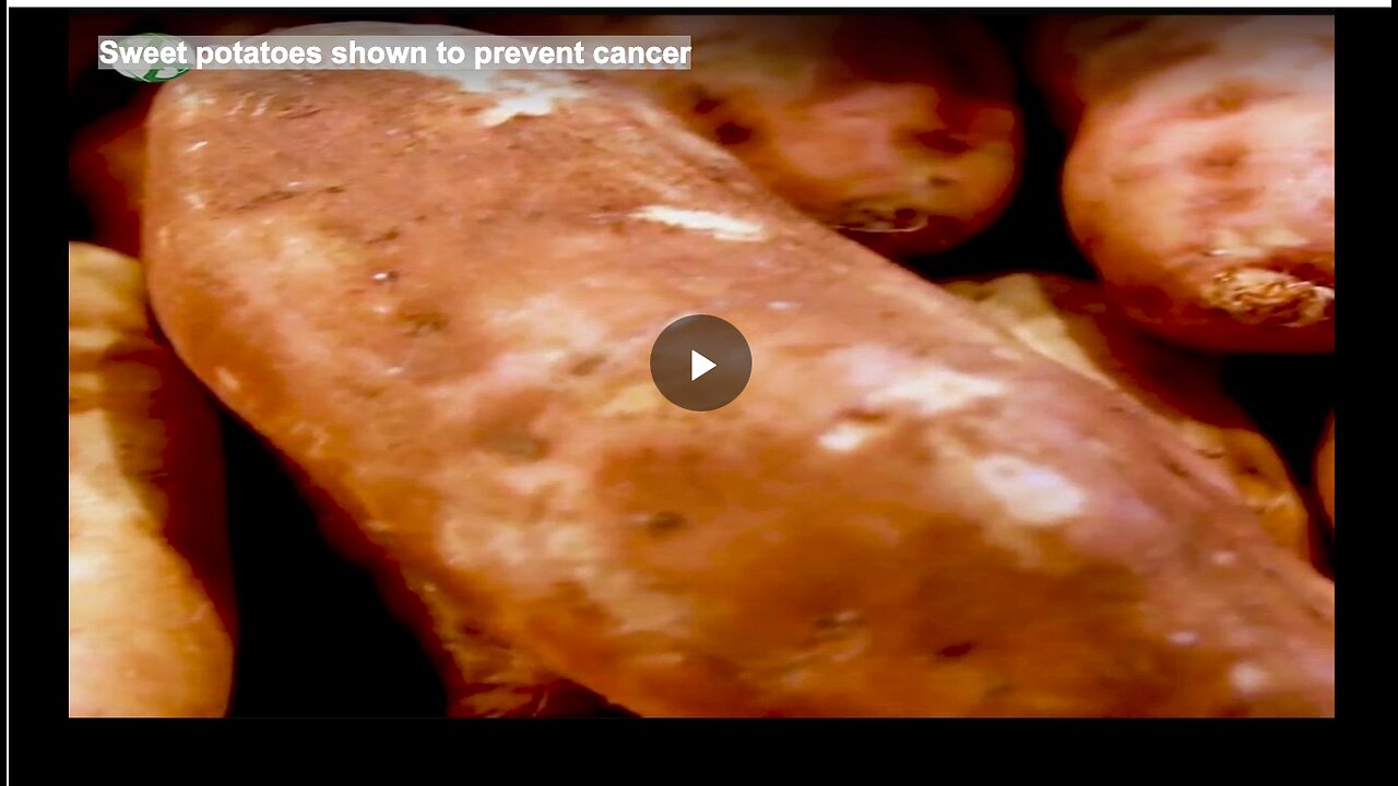 Sweet potatoes shown to prevent cancer