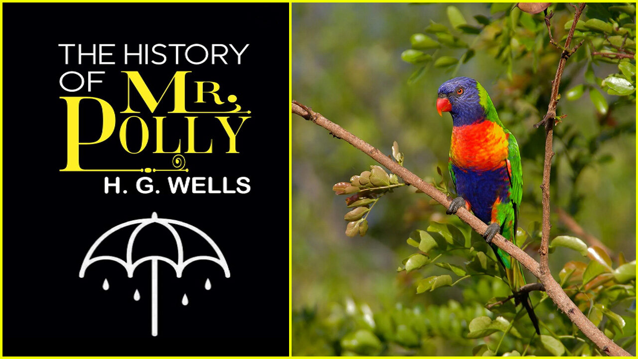 'The History of Mr Polly' (1910) by H G Wells