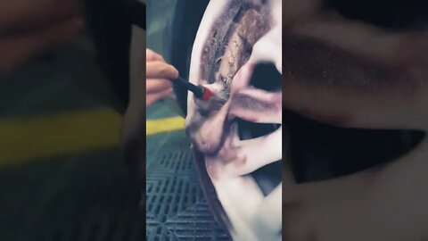 How to wash your cars