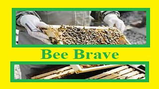 Bee Brave