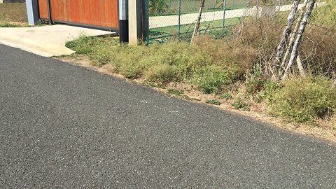 A Peaceful Walk