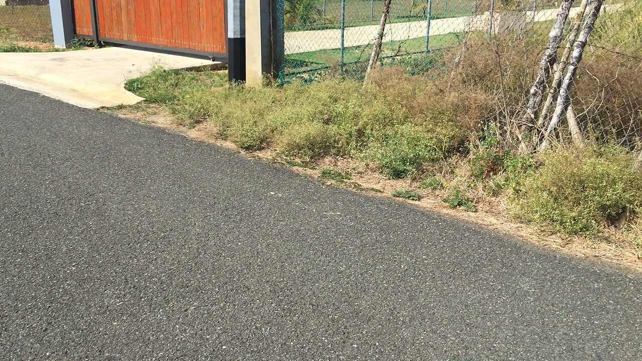 A Peaceful Walk