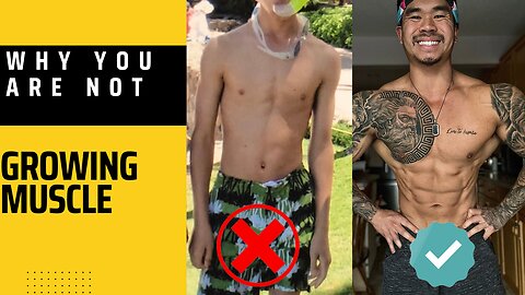 Why You Are Not Growing Muscle