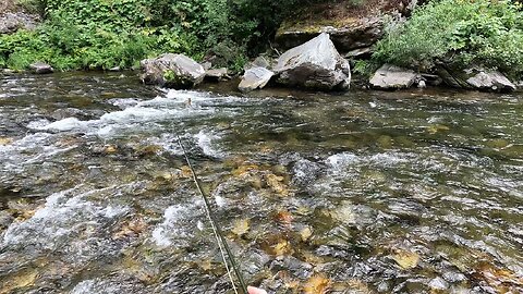 Nice fish! Beautiful River!