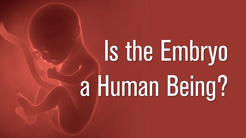 Is the Embryo a Human Being?