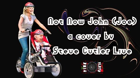 Not Now John JOE a cover by steve cutler live