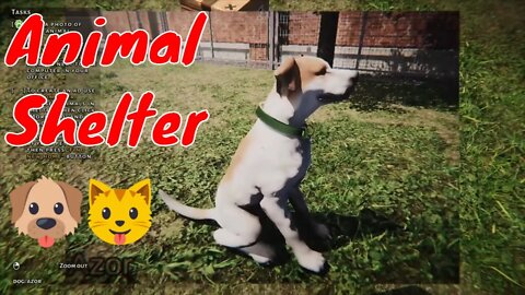 Animal Shelter Demo