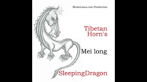 Mei long Tibetan Horn's Sleeping Dragon