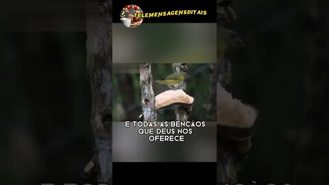 [ISSO É OQUE] EU DESEJO PARA VOCÊ NESTA TARDE! #Shorts