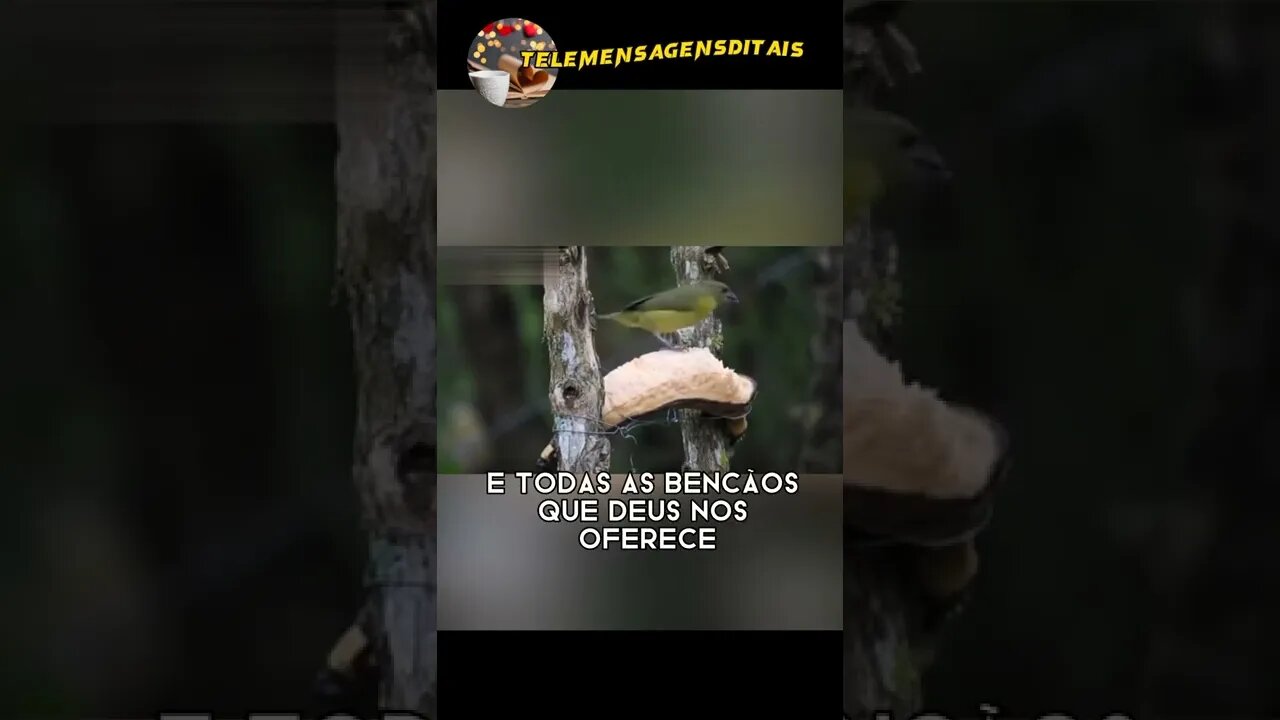 [ISSO É OQUE] EU DESEJO PARA VOCÊ NESTA TARDE! #Shorts
