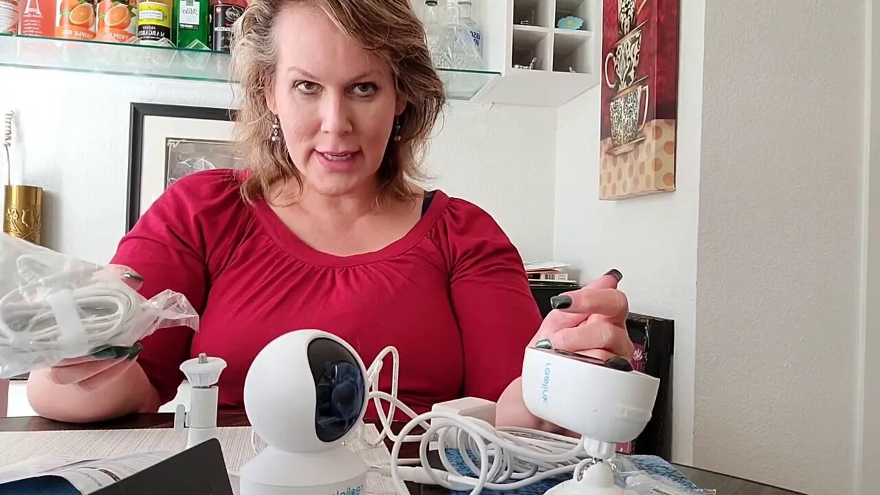 Reolink Security System DIY