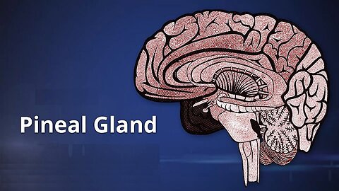 Exposing The Pineal Gland Opening Up Evil in Your World