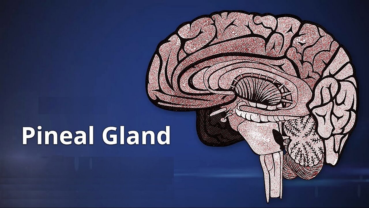 Exposing The Pineal Gland Opening Up Evil in Your World