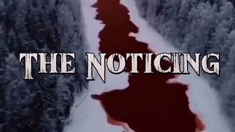✡️ The Noticing: A timeline 2022-2024 | Patrick SighOp (2024)