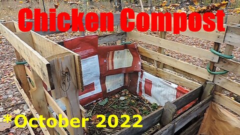 Chicken hotbed