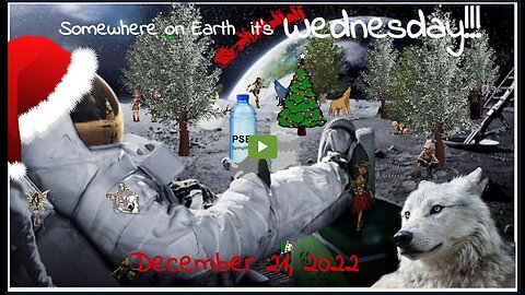 The You Don't Say Gang ~~~ December 21 2022