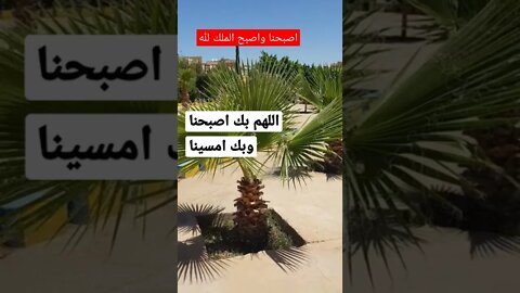 الصبح اضاء