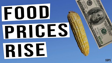 Food Prices RISE and Commodities Index Going Straight UP Like 2008! Exuberance or New Reality?