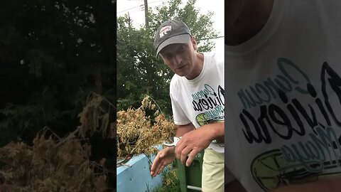 Cutting Branches
