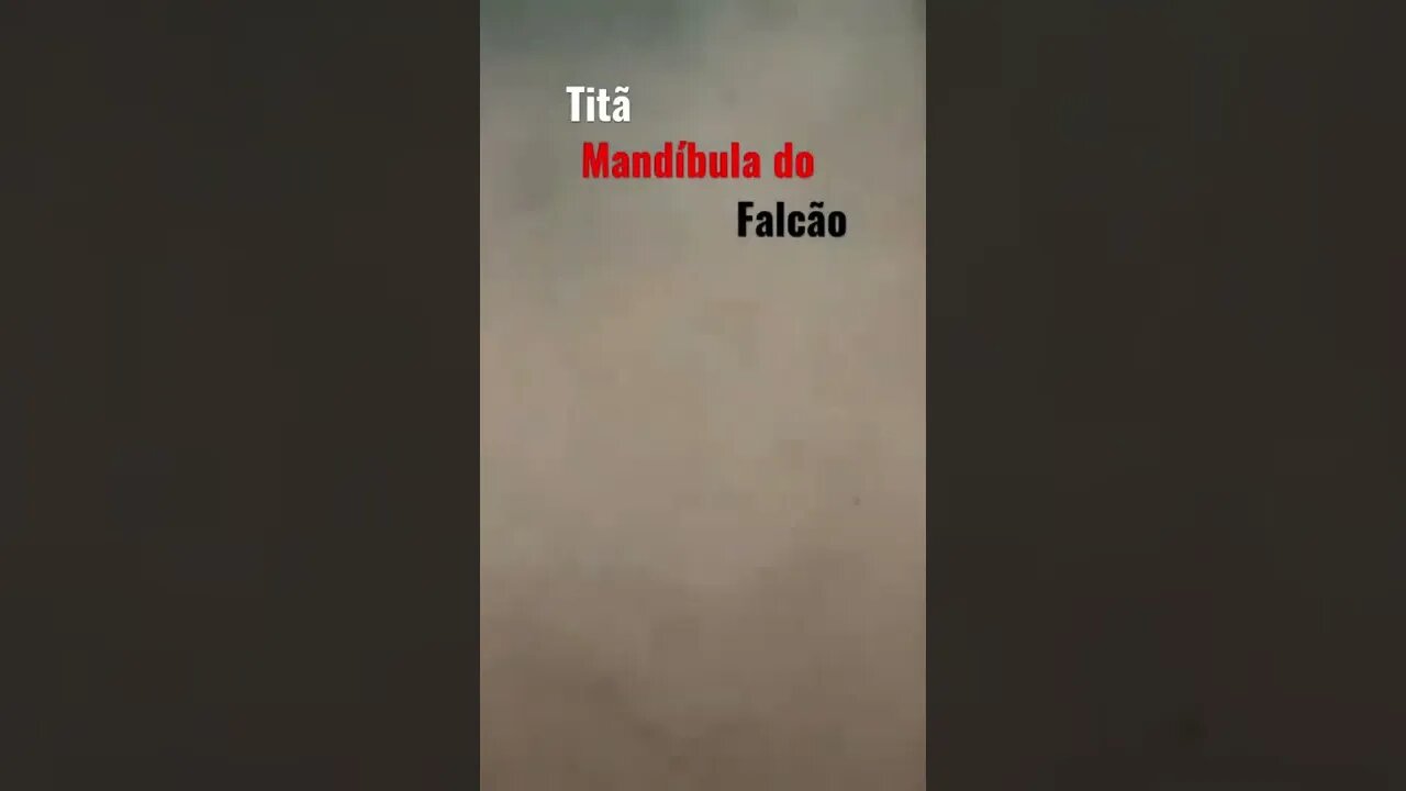 Falco se transforma no tità MANDÍBULA ||ataque de titá