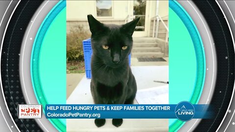 Keeping Families and Pets Together // Colorado Pet Pantry