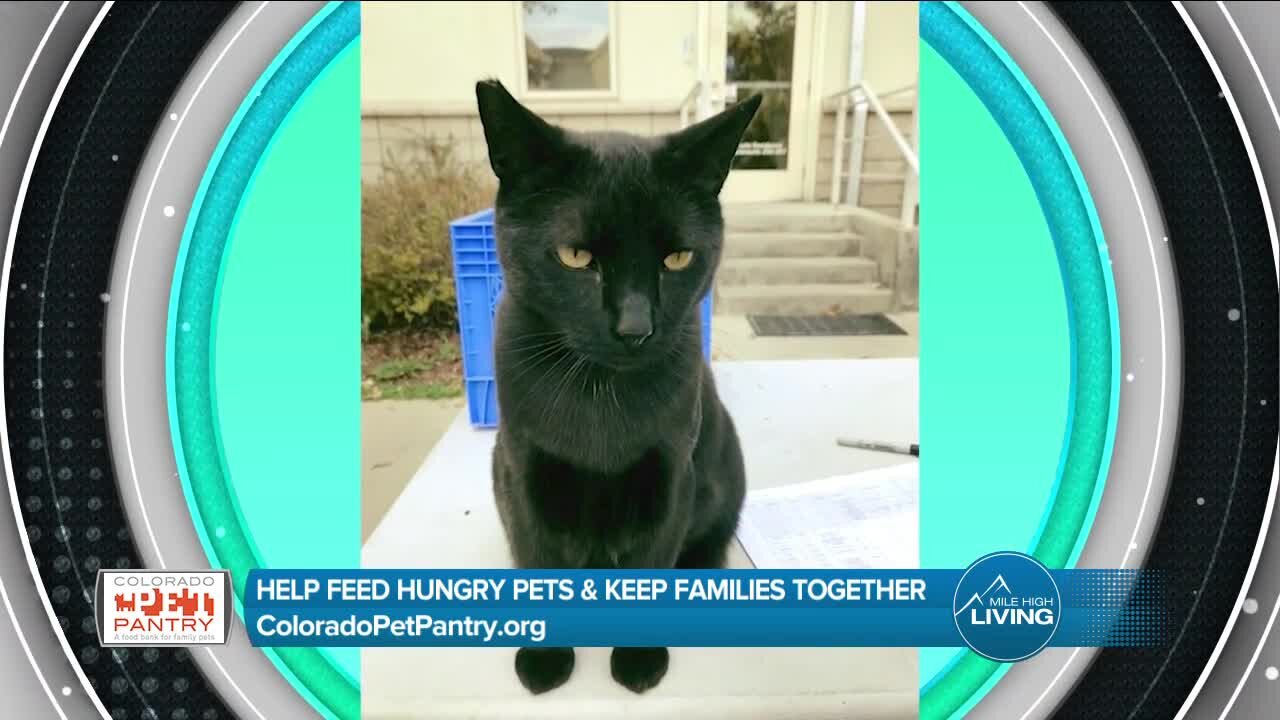 Keeping Families and Pets Together // Colorado Pet Pantry